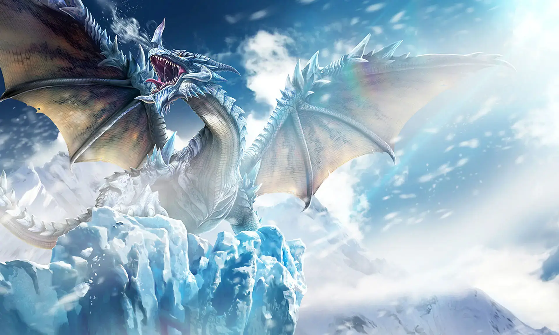 《新服预告》113服 2025年6月5日10:00